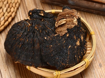 海南薄树灵芝 薄树灵芝 一手货源产地批发量大从优 一件代发图5