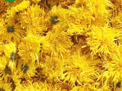 批发金丝皇菊花茶干菊花茶20克大朵干菊花2022年新花金丝皇菊花茶图3