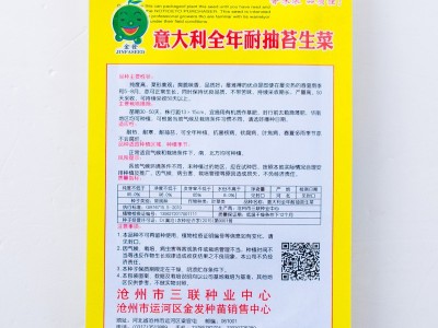 意大利全年耐抽苔生菜种子 农家生菜青菜孑阳台盆栽四季蔬菜种籽图4