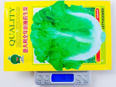 意大利全年耐抽苔生菜种子 农家生菜青菜孑阳台盆栽四季蔬菜种籽图2