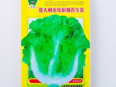 意大利全年耐抽苔生菜种子 农家生菜青菜孑阳台盆栽四季蔬菜种籽图5
