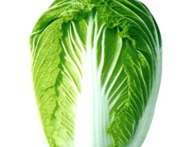山东四号大白菜种子籽老品种单株6-8公斤秋季大田易种植冬天 蔬菜图2