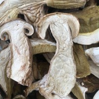 牛肝菌 干片美味 白牛肝菌A货 无杂质 剪过泥脚 可直接办理出口