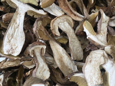 牛肝菌 干片美味 白牛肝菌A货 无杂质 剪过泥脚 可直接办理出口图4