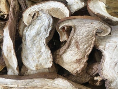 牛肝菌 干片美味 白牛肝菌A货 无杂质 剪过泥脚 可直接办理出口图5