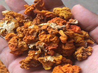 金耳菌 脑耳 云南特产 黄耳 规格2.0以下小号 食用菌批发图2