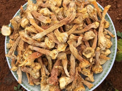 云南特产干姬松茸菇脚 产地直批姬松茸菇脚 高原特产巴西菇脚图4