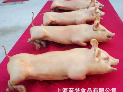 整只烘焙乳猪送礼年货礼盒大礼包 烘焙乳猪烤香猪特产食品批发图3