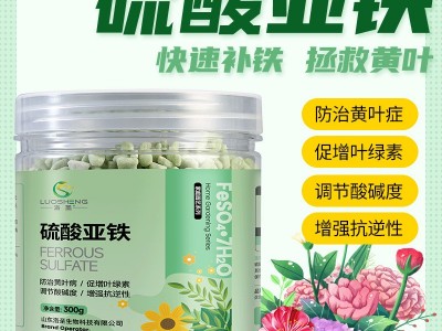 洛圣硫酸亚铁 调节土壤酸碱度防黄叶花卉蔬菜喜酸植物通用水溶肥图2