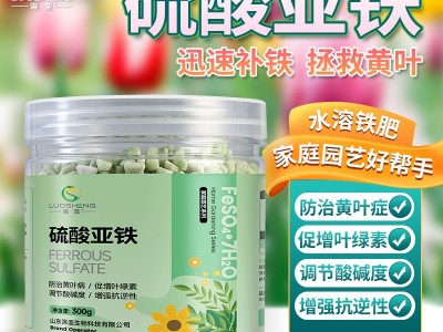 洛圣硫酸亚铁 调节土壤酸碱度防黄叶花卉蔬菜喜酸植物通用水溶肥图4