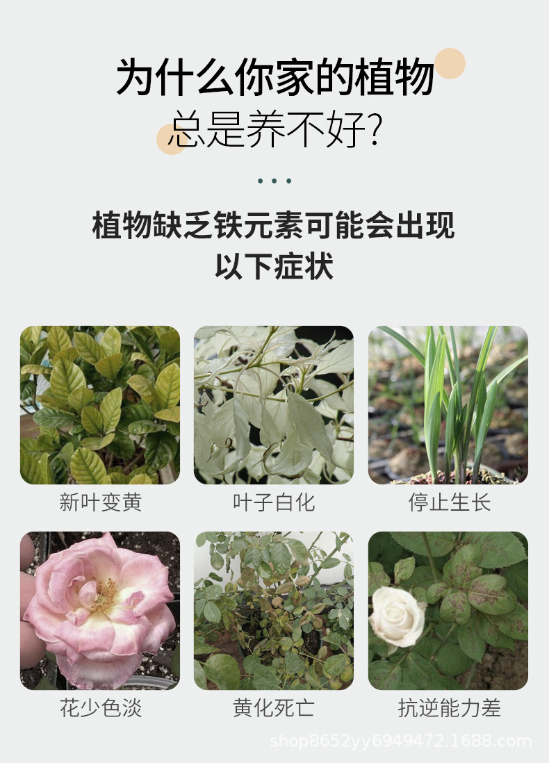 硫酸亚铁-(2)_05.jpg