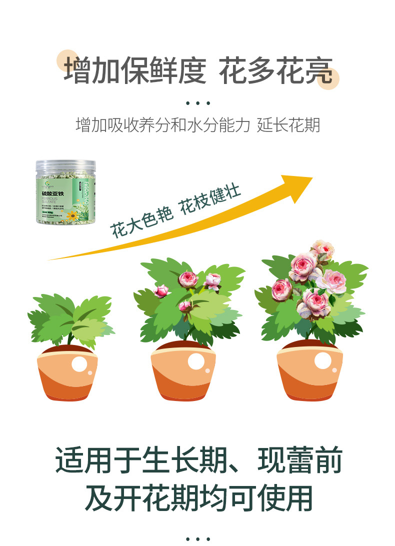 硫酸亚铁-(2)_07.jpg