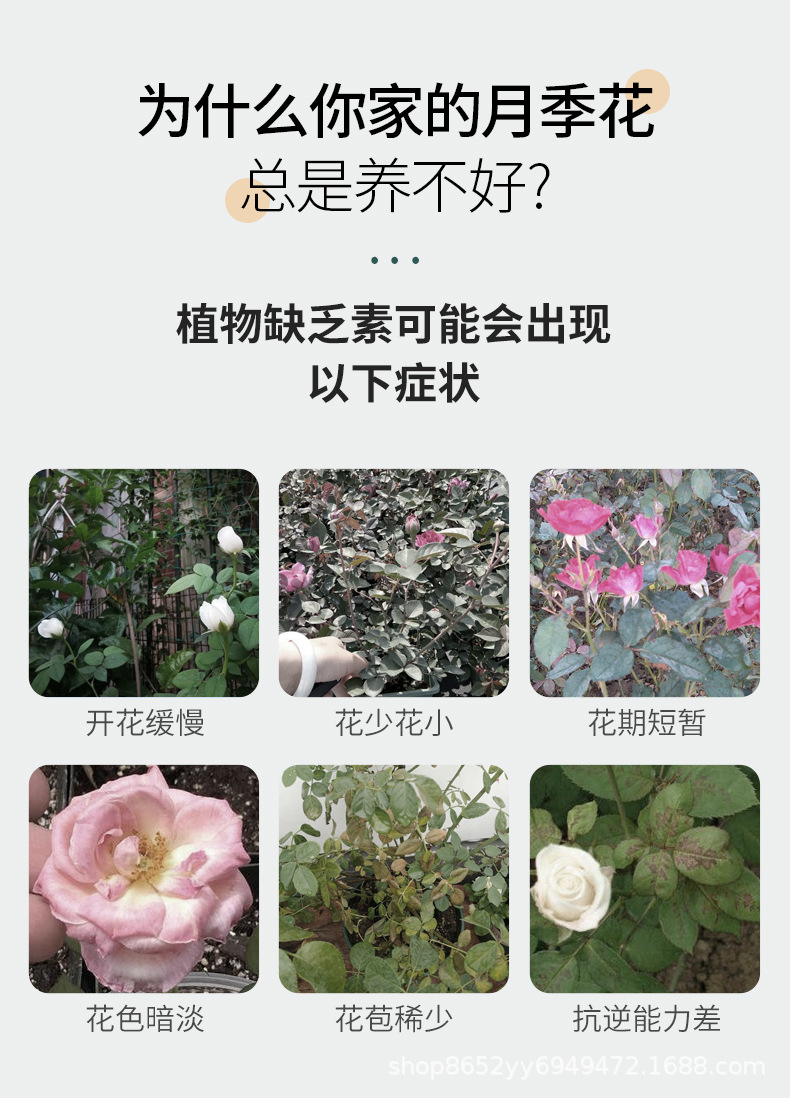 月季专用肥-(2)_05.jpg