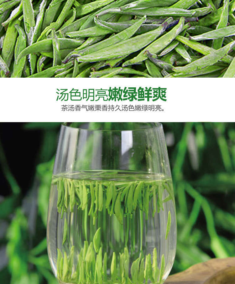 雀舌详情_06