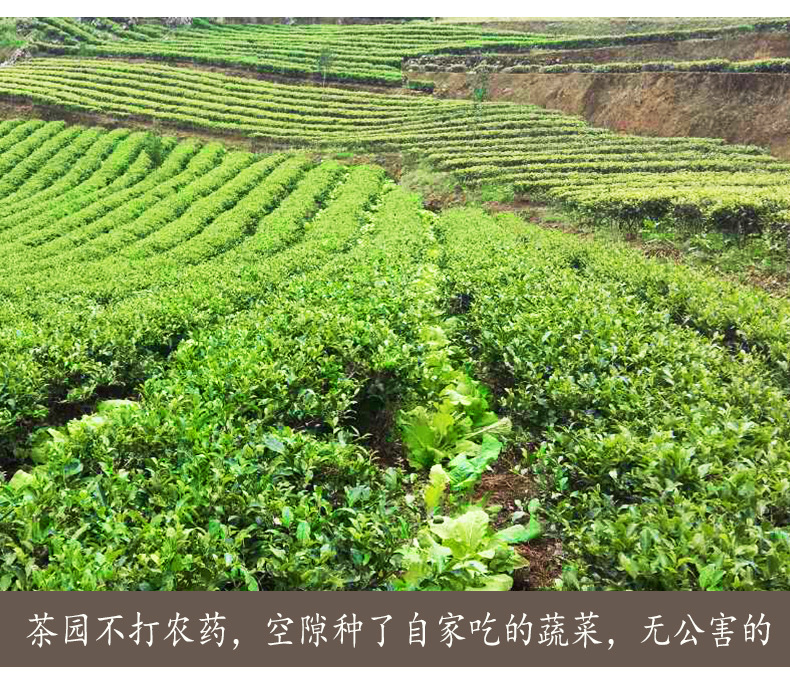 贵州高山云雾飘香蓝色礼盒_07.jpg