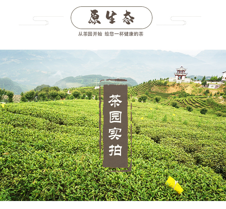 贵州高山云雾飘香蓝色礼盒_05.jpg