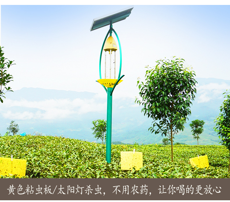 贵州高山云雾飘香蓝色礼盒_06.jpg
