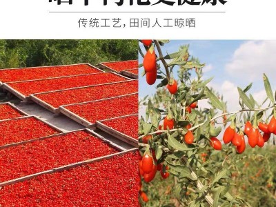 抖音电商直播带货枸杞子宁夏特级大粒特优苟杞中宁特产新货红构杞图4