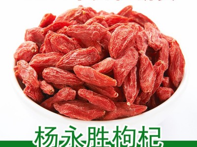 新货枸杞子500g宁夏特级免洗大粒苟杞不染色红勾杞中宁构杞子枸图5