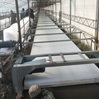 清粪设备 输送带设备 履带式清粪机 养羊养兔养鸡鹅鸭等清粪设备