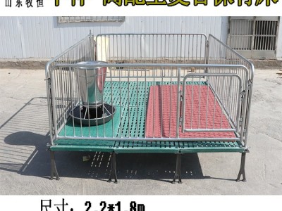 小猪保育床 双体复合保育床 单体复合保育床 保育床猪用 猪围栏图3