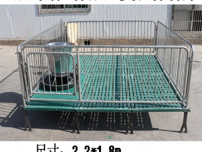 小猪保育床 双体复合保育床 单体复合保育床 保育床猪用 猪围栏图2