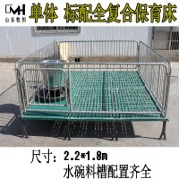 小猪保育床 双体复合保育床 单体复合保育床 保育床猪用 猪围栏