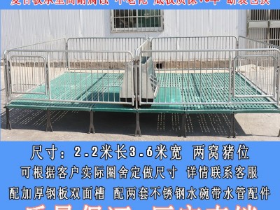 小猪保育床 双体复合保育床 单体复合保育床 保育床猪用 猪围栏图4