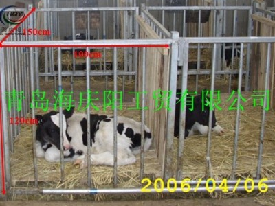 【品质款】厂家供应犊牛栏 整体热浸锌牛犊栏 小牛围栏 量大从优图3