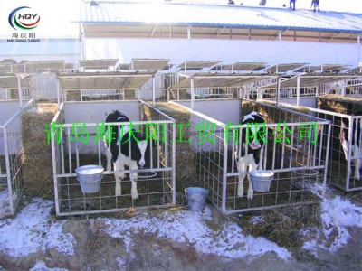 【品质款】厂家供应犊牛栏 整体热浸锌牛犊栏 小牛围栏 量大从优图5