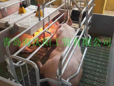 厂家低价供应母猪产床双体产床 欧式产床 整体热浸锌分娩栏图3