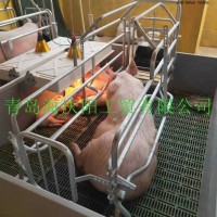 厂家低价供应母猪产床双体产床 欧式产床 整体热浸锌分娩栏