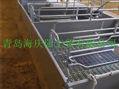 厂家低价供应母猪产床双体产床 欧式产床 整体热浸锌分娩栏图4
