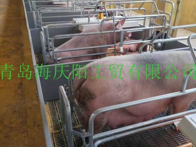 厂家低价供应母猪产床双体产床 欧式产床 整体热浸锌分娩栏图5