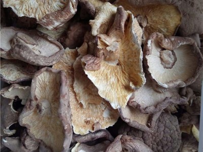 产地直销剪香菇脚大片干货剪腿干香菇肉厚味五斤包邮批发图2