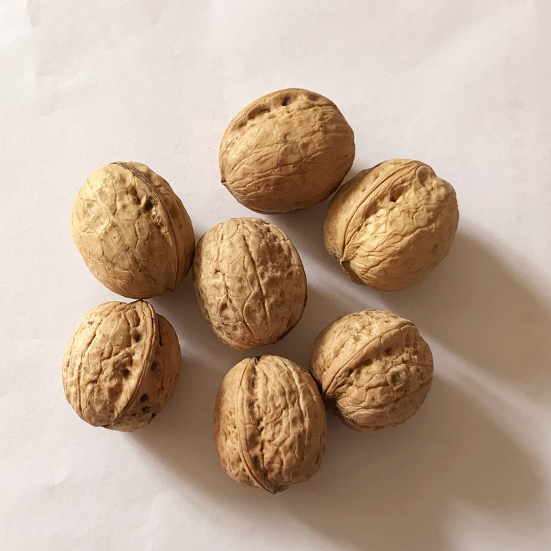 活动2