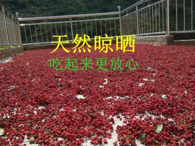 甘肃陇南香料调味优质梅花椒武都干货特产新货 花椒/青椒图2