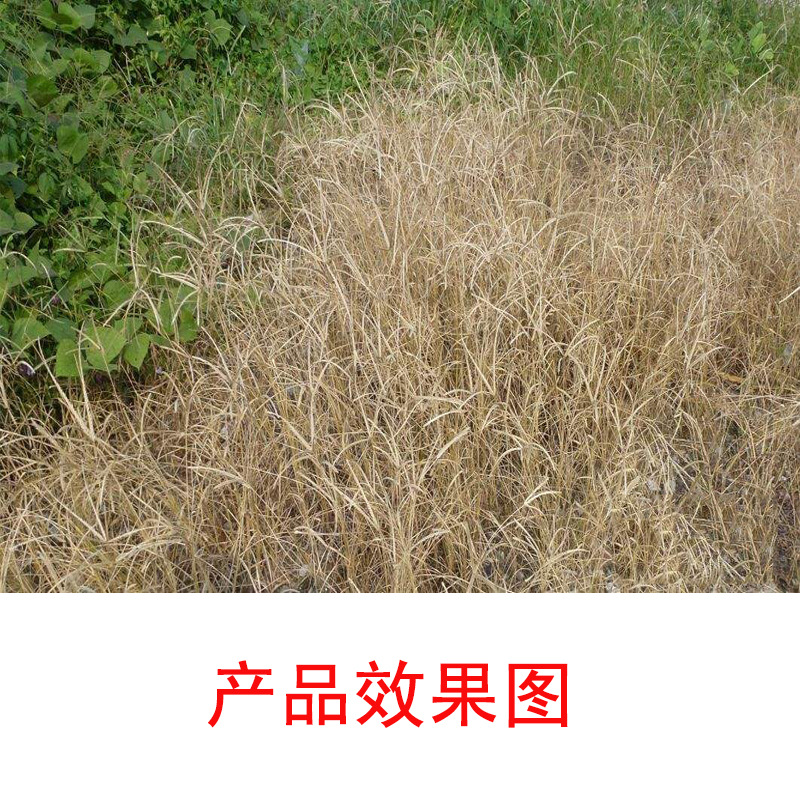微信图片_20181227112119