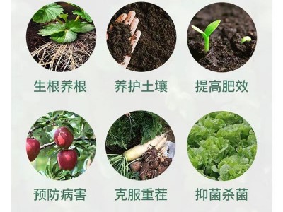 小包装阿多宝枯草芽孢杆菌花卉根腐病立枯病茎基腐病防治土传病害图4