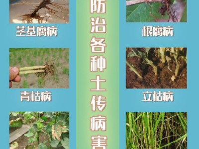 小包装阿多宝枯草芽孢杆菌花卉根腐病立枯病茎基腐病防治土传病害图3