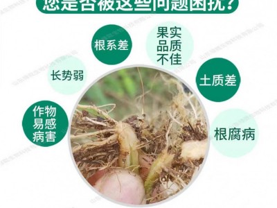 金窝肥仔海藻重茬剂有效防治土传病害改善土壤枯草芽孢杆菌颗粒图2