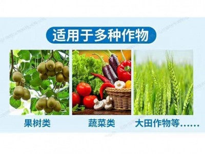 金窝肥仔海藻重茬剂有效防治土传病害改善土壤枯草芽孢杆菌颗粒图3