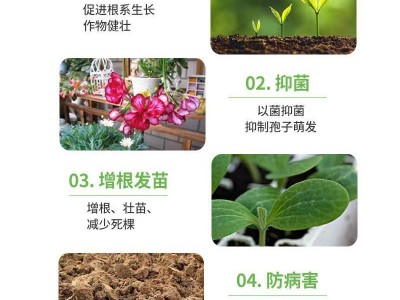 科丽盈枯草芽孢杆菌土壤环境改良土壤消毒特种药肥促生根杀菌小黑图4