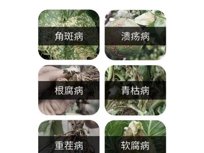 科丽盈枯草芽孢杆菌土壤环境改良土壤消毒特种药肥促生根杀菌小黑图3