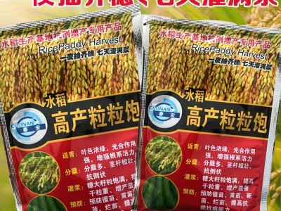 水稻叶面肥增产专用育苗床生根壮秧剂返青灌浆防病高产水稻叶面肥图3