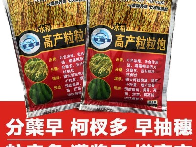 水稻叶面肥增产专用育苗床生根壮秧剂返青灌浆防病高产水稻叶面肥图2