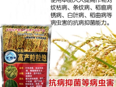 水稻叶面肥增产专用育苗床生根壮秧剂返青灌浆防病高产水稻叶面肥图4