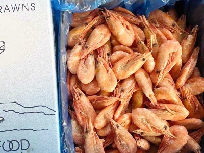 熟冻北极虾即食甜虾北极甜虾冰虾4斤装籽虾清甜厂家直供量大从优图5