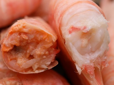 渔王 国王加拿大甜虾北极虾5斤冷冻深海海虾甜虾冰虾水产海鲜批发图2