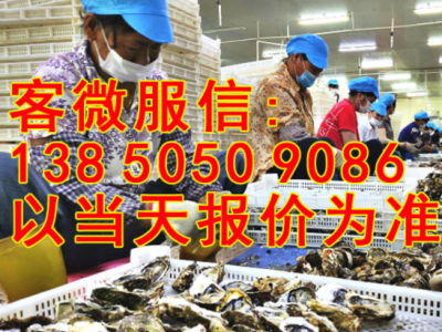 福建鲜活生蚝批发牡蛎海鲜水产带壳烧烤自助 产地直销整箱100斤装图4